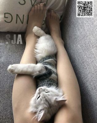 精品久久久国产_1080P全集在线观看